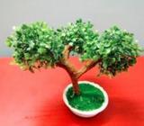 Artificial bonsai