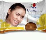 Genodarma Mushroom Soap
