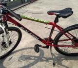 Raleigh Black with Red and Green's shade! (Air Pressure Free