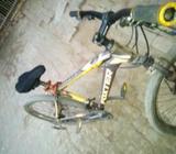 Cyle 6.1 er model akdom new