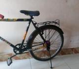 26 inch cycle