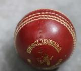 Cricket Ball