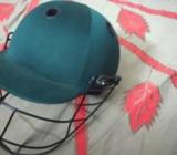 Cricket helmet