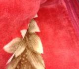 woolen blanket for sell