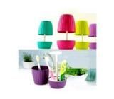 Bonsai Teeth Toothbrush Cup Holder