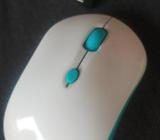 mouse