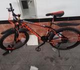 Bicycle