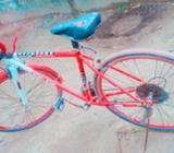 cycle