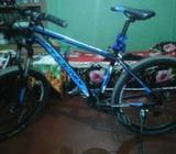 phoenix hurricane 26