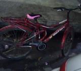 Bicycle