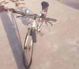 Reflex Racing Bycycle