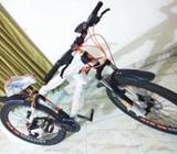 Bicycle 2019