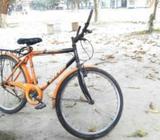 Fitto cycle