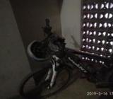 Cycle
