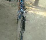 Cycle কোনো সমস্যা নেà¦