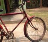 Nelaam fresh cycle