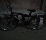 Duranta cycle