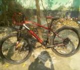 Duranta cycle