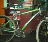 Phoenix 1700(world cup pro