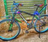 দুরন্ত গতি চলার মত একটি সাইকেà¦