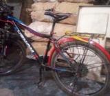 cycle