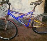 Bicycle