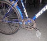Cycle