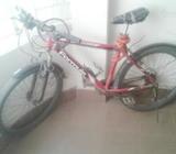 Formula Bicycle