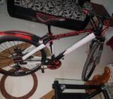 Bicycle INFORMER