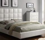 Stylish Bed B-16