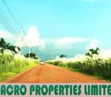 4+4=8 katha plot at N Block