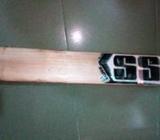 cricket bat