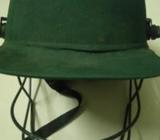 Cricket helmet