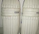 Cricket pad