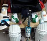 ক্রিকেট ফুল সেà¦