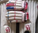 ক্রিকেট প্যাড এবং গ্লাভà¦