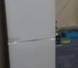 shacklock refreshing sale kora hobe