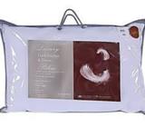 ঘাড়, কাঁধ,মাথা ব্যাথা উপশমে কার্যকরি বালিà¦