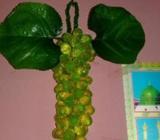 পুতির তৈরী খুব সুন্দর অান্গুরের ঝার বিক্রà¦