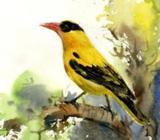 পেইন্টিং হলদে পাখà¦