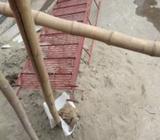 লোহার সিড়ি / shiri