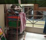 Salon & multi-use Mirror