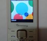 Strawberry SB 218 SB224 (Used