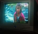 TV Golden Star