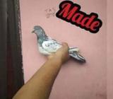 kobutor সবুজগলা কবুতà¦