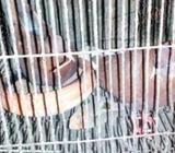 লাল চুল্লী কবুতরà¥