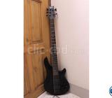 Schecter Damien 5