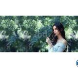 Brand New Xiaomi Mi 6 64GB Sealed Pack With 3 Yr Warrnty