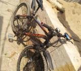 Fight cycle