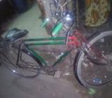 Cycle